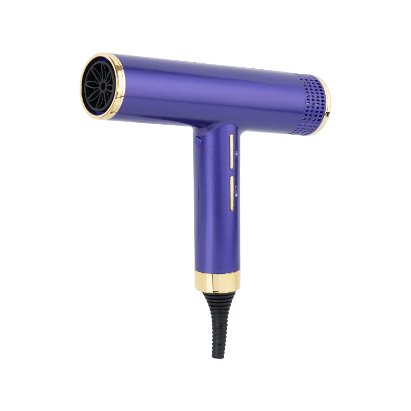Asciugacapelli ad alta velocità autopulente anti-flyaway JYS-D20
